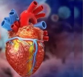 ह्र्दय निरोगी ठेवण्यासाठी काही उपाय- (Prevent heart attack)