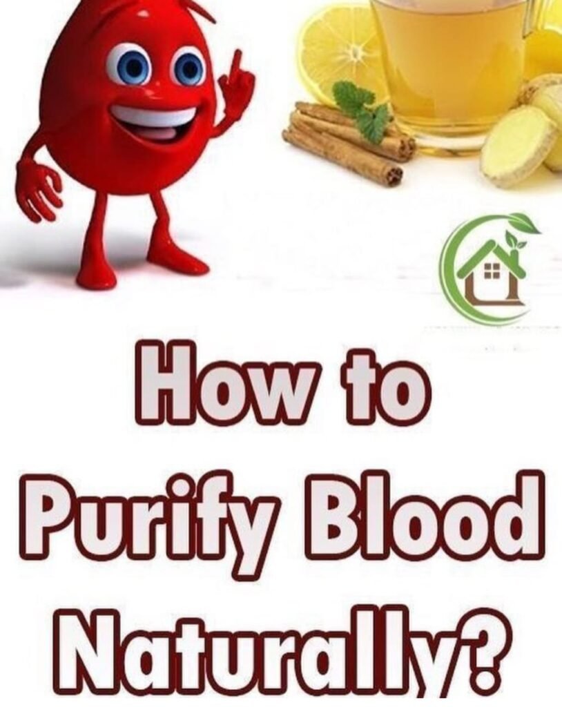 Purify blood 