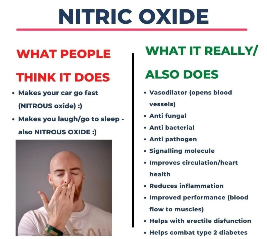 Nitric Oxide 